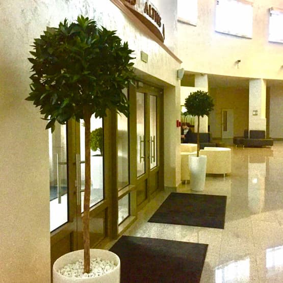 Описание изображения 3