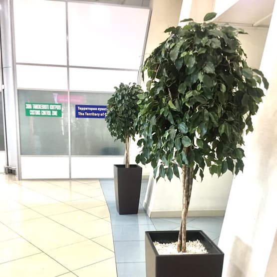 Описание изображения 1