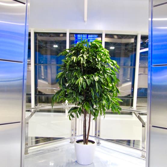 Описание изображения 2