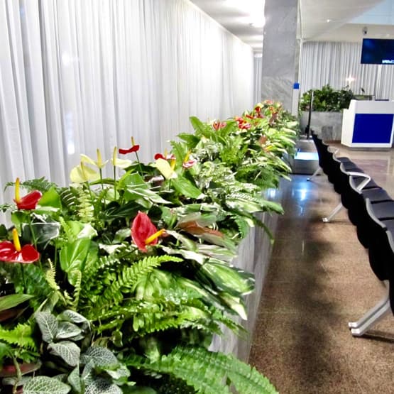 Описание изображения 6