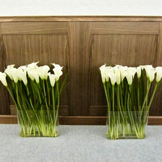 Описание изображения 9