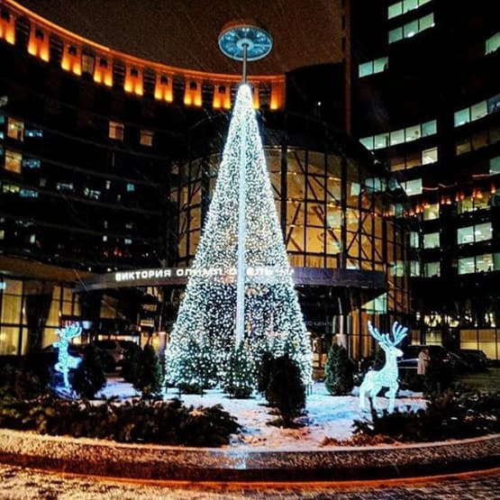 Описание изображения 5